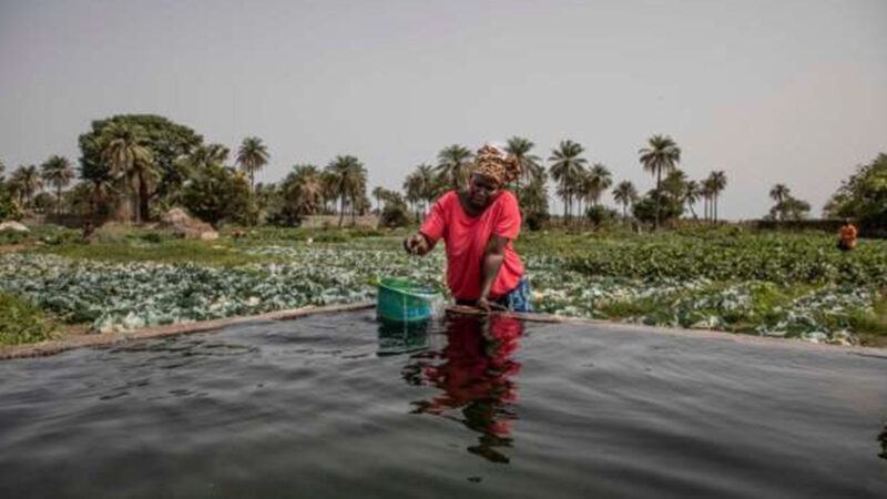 Le Bénin doté d’un Hymne sur les Changements Climatiques