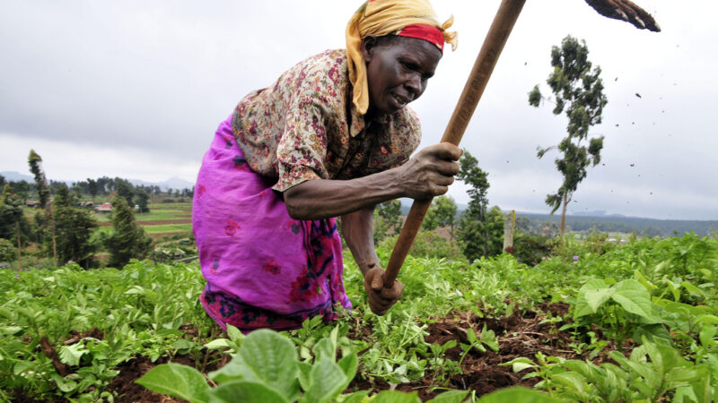 Fonds national de développement agricole : Les nouveaux outils