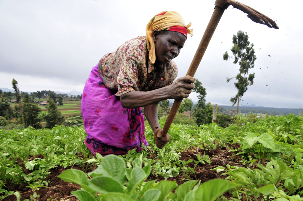 Recensement National de l’Agriculture : Echange d’expérience entre le Bénin et le Niger