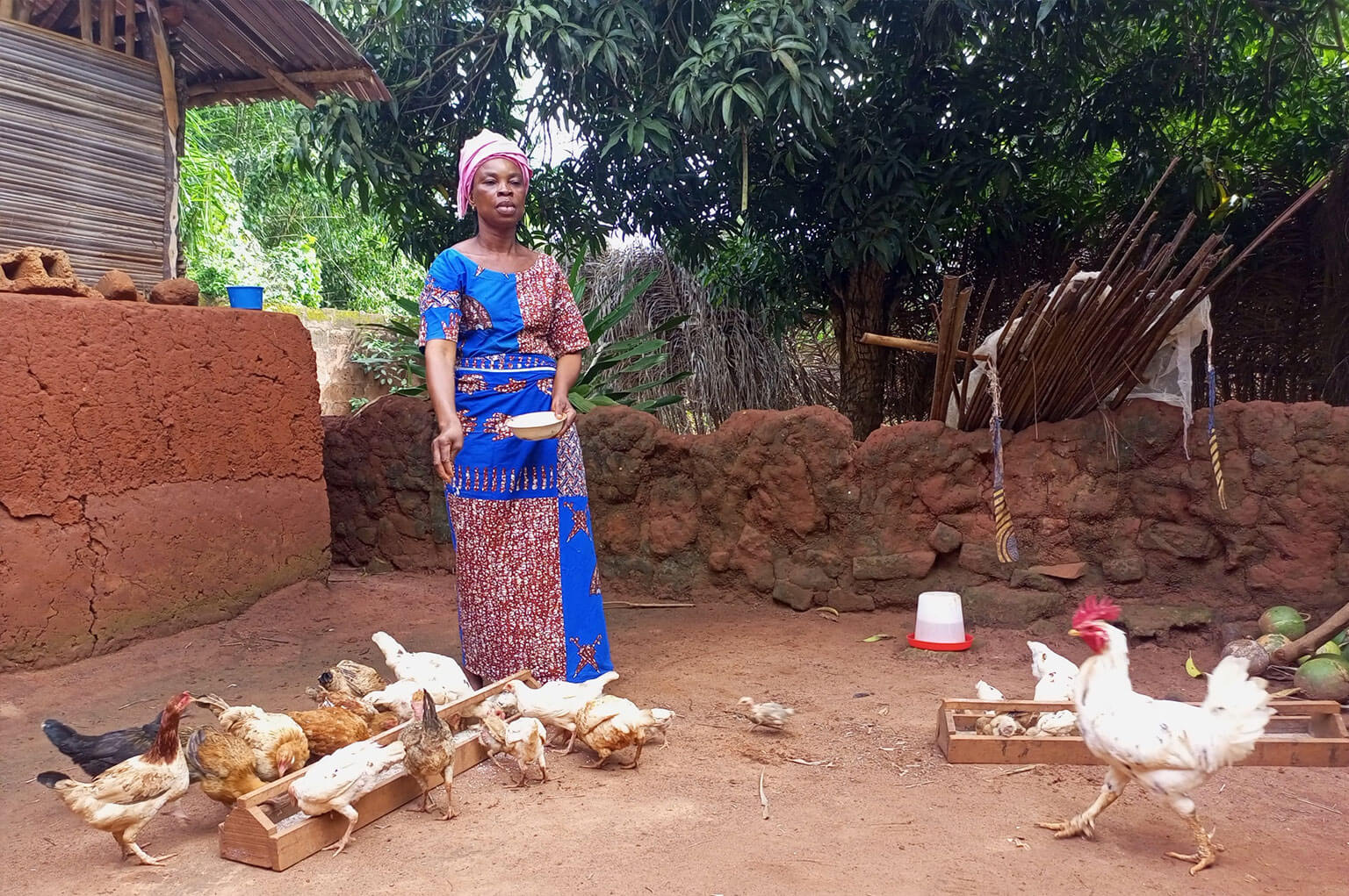 Secteur élevage au Bénin : La vaccination gratuite de 3 millions de volailles familiales