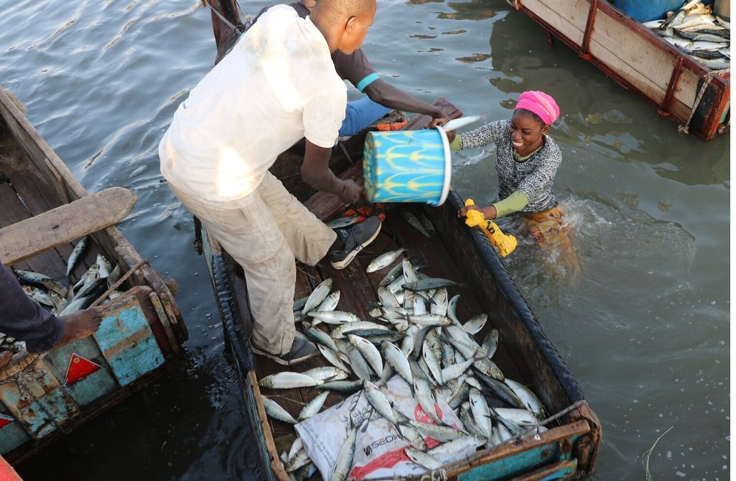 Pêche au Bénin : 1.622 tonnes d’aliments poisson subventionnés